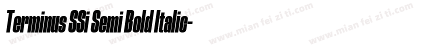 Terminus SSi Semi Bold Italic字体转换